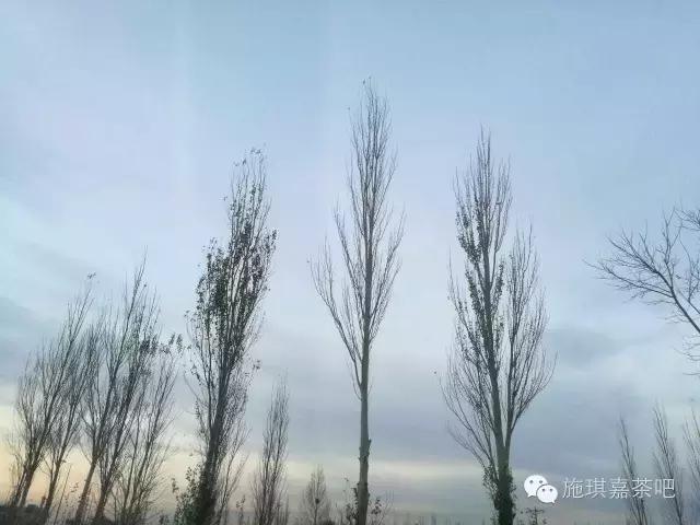 人为什么要做梦阅读理解,人为啥要做梦呢