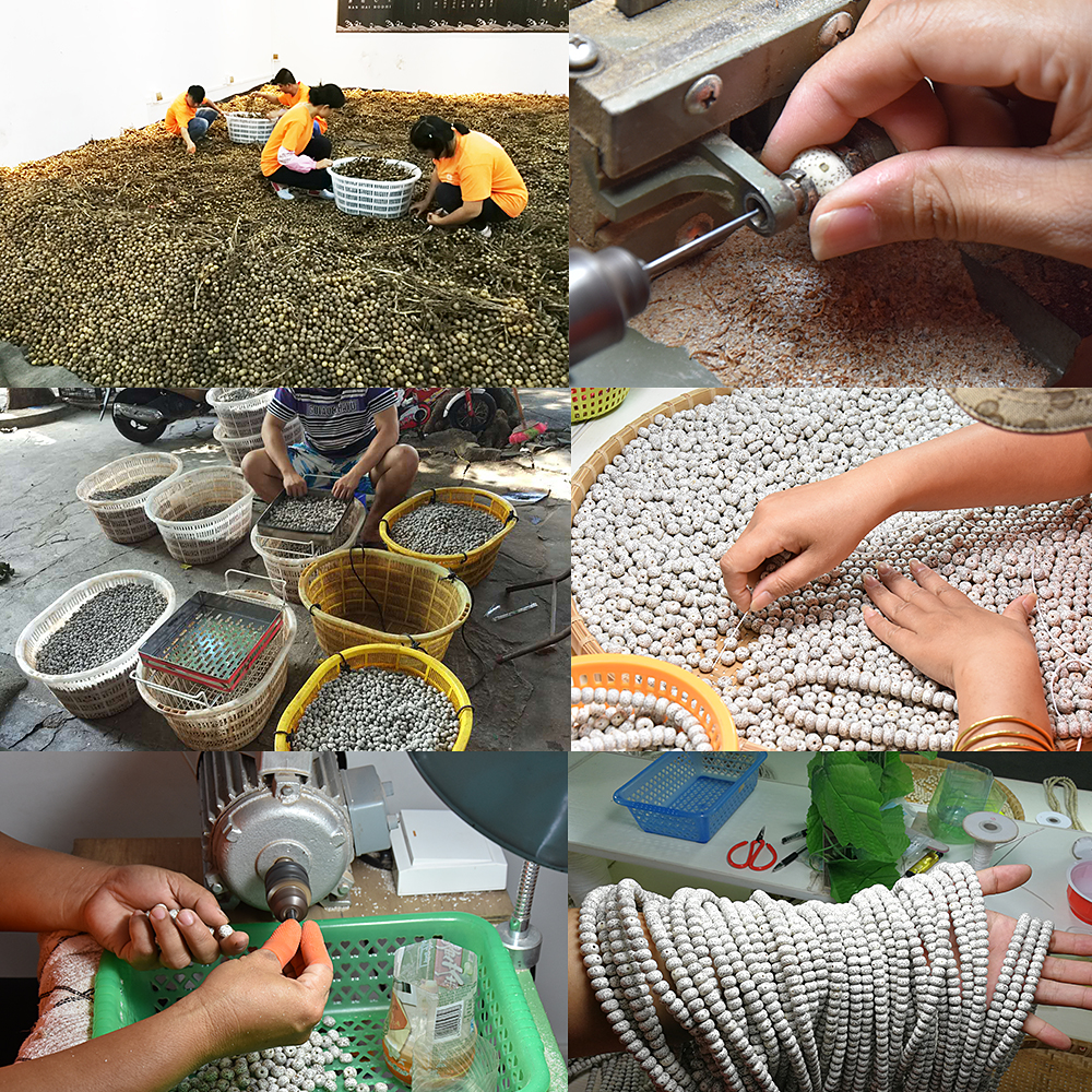 星月菩提为什么现在便宜了,星月菩提价格为什么差异大