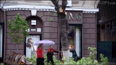 搞笑动图gif图片合集,搞笑动图gif微信可爱表情包