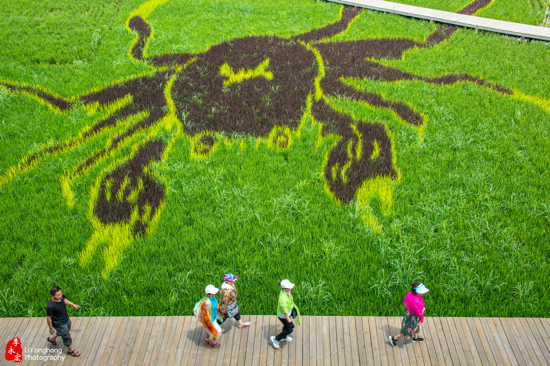 蟹园盘锦河蟹,盘锦赵圈河镇河蟹