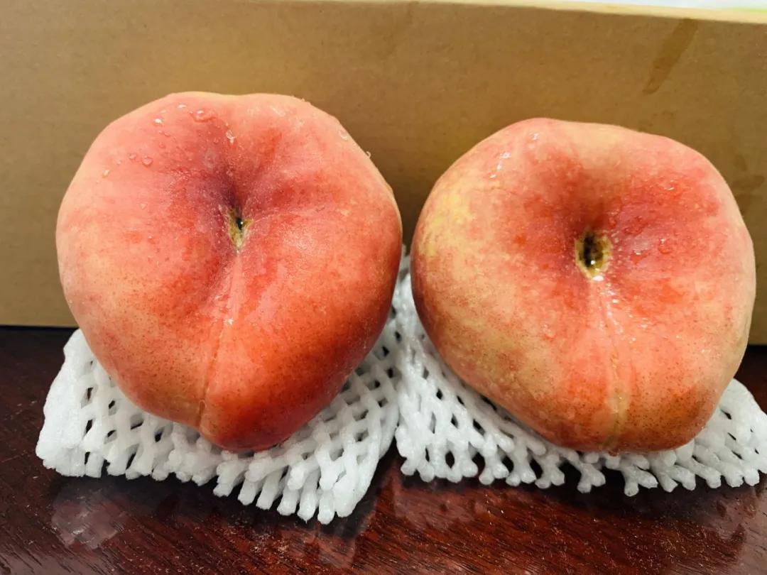 鍗佸牥瓒呭叏钄彍姘存灉,鍗佸牥鏂伴矞姘存灉