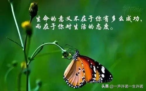 造人全过程，别不好意思看