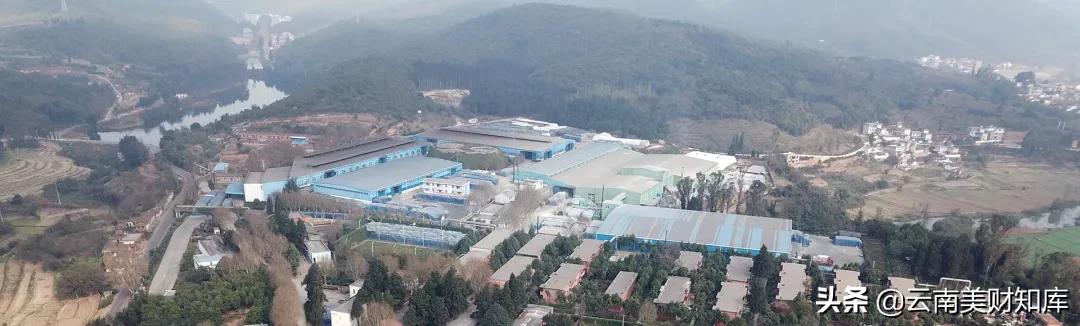 化肥生产企业经营情况最新,化肥企业增收不增利的原因