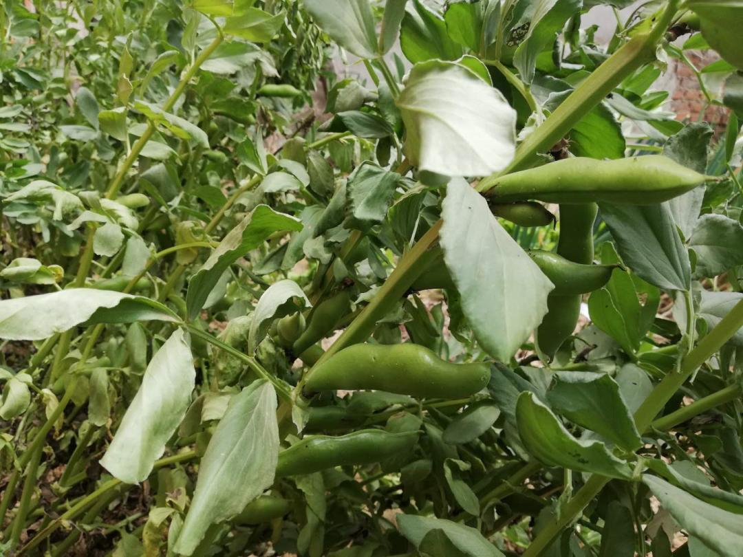 闲着木事儿，你来俺家玩儿呗