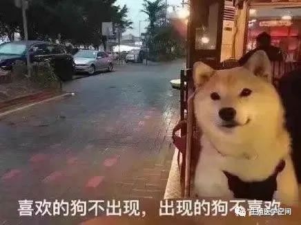 30岁以上还能生育吗,30岁了打算生孩子要注意些什么