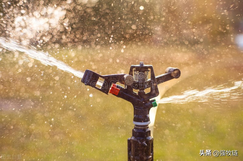 高温防止牛中暑,牛中暑的症状及治疗