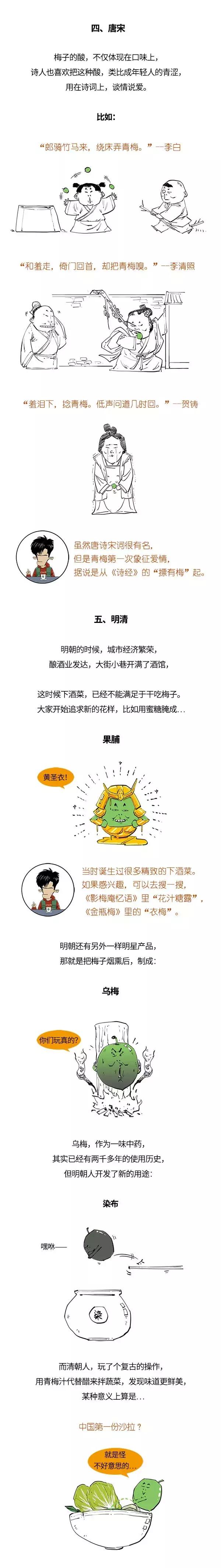 酵素青梅的功效与作用点,青梅有酵素