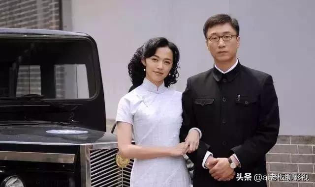 国内最经典的谍战剧大全,谍战经典连续剧前十名