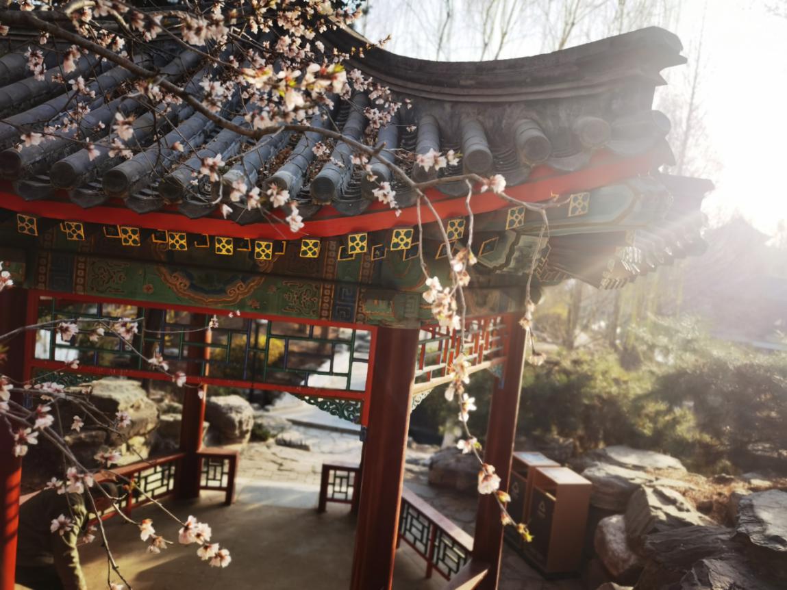 北京的园子有哪些,记忆中的老北京公园