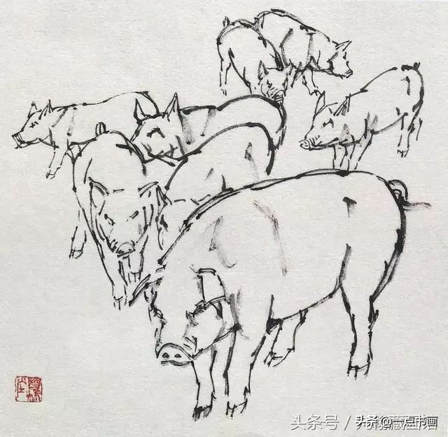 简单猪画画教学,国画写意猪图大全