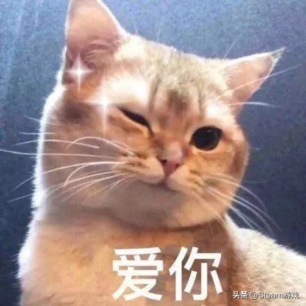 特别好评！Steam上10款适合远程同乐本地多人游戏推荐