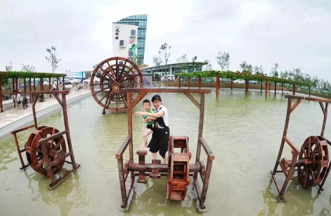 金湖荷花荡图片,金湖荷花荡介绍