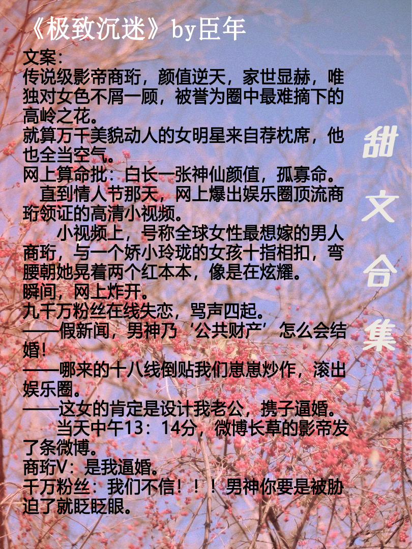 甜文宠文超甜无虐小说推荐娱乐圈,甜文小说娱乐圈推文双男主