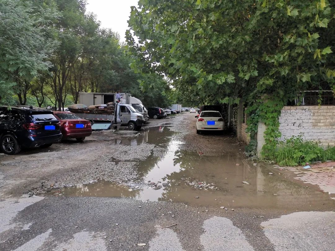 调查|无名道路“无人问津”，居民：不能再这样下去......