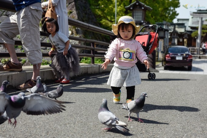 海洋光谱号到日本玩什么,海洋光谱号一日游攻略