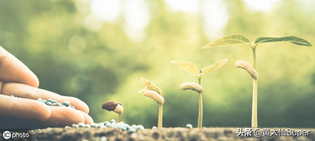 网上创业做什么最赚钱,前景最好的小本创业平台