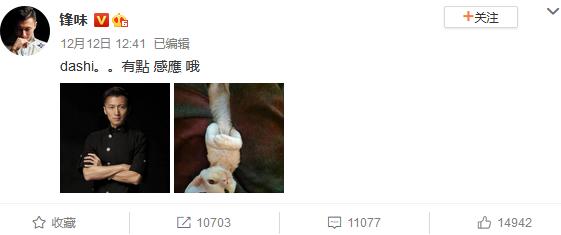 谢霆锋王菲最近的情感,王菲为什么会让谢霆锋恋恋不忘