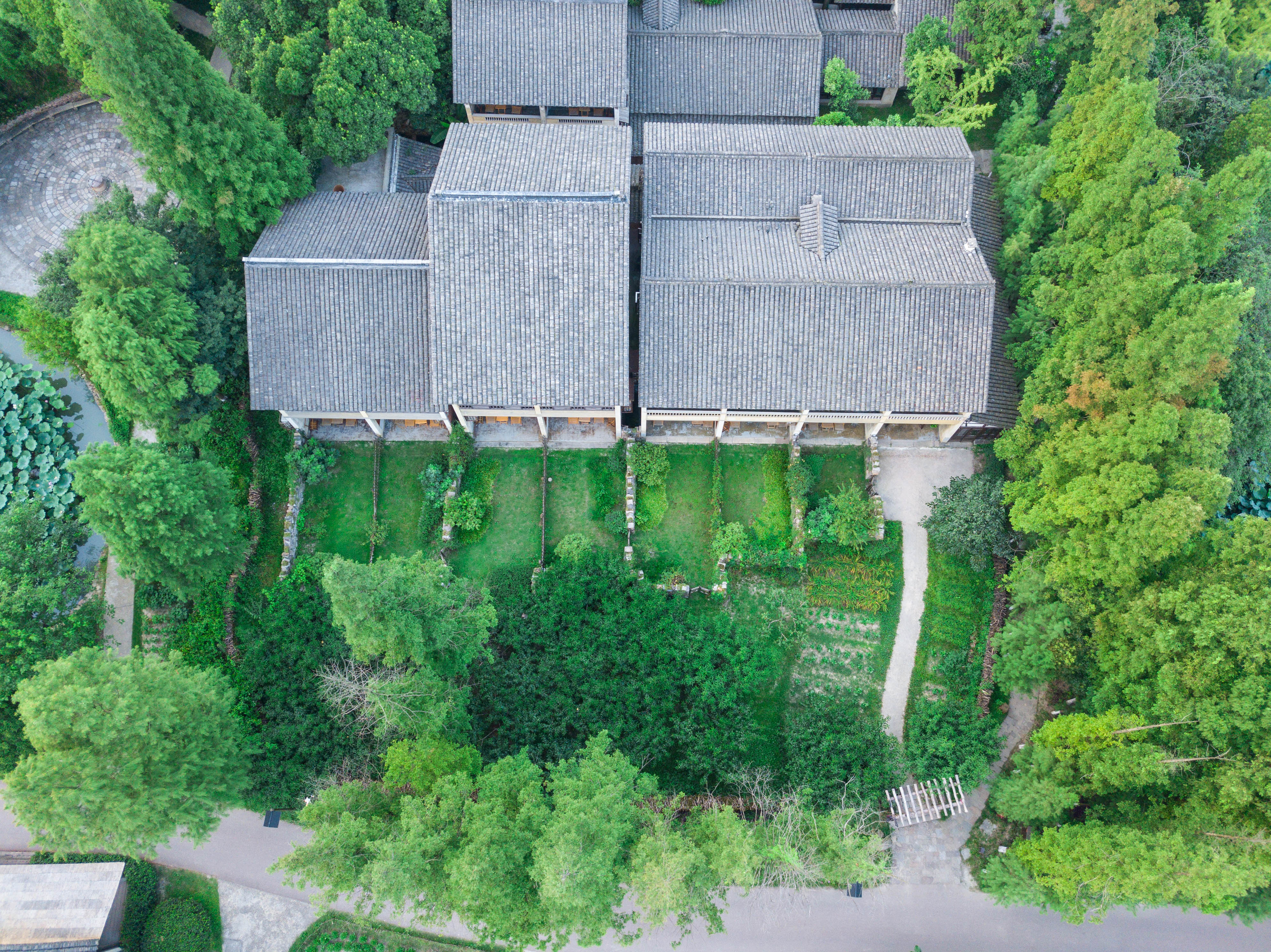 知道乌村吗，孩子来了就不愿离开，住乌村去西栅可以省150元