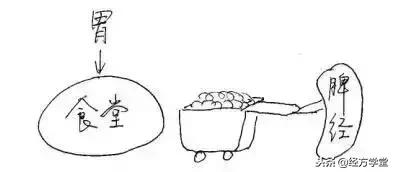 中医12经络挂图,漫画中医经络图典