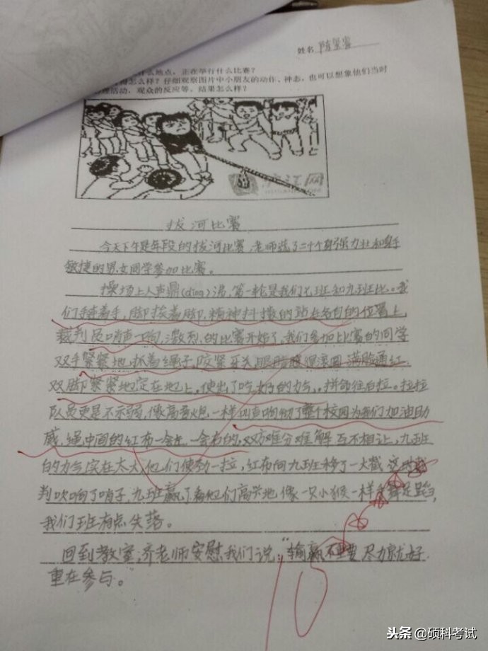 一年级看图写话公园拔河,森林运动会看图写话拔河