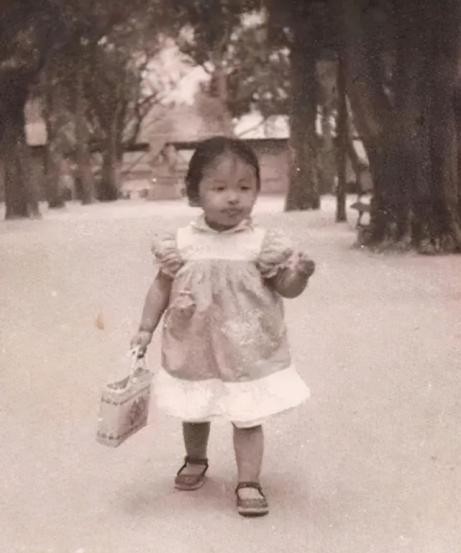 栾树韩红许志安,许志安和韩红接吻图片