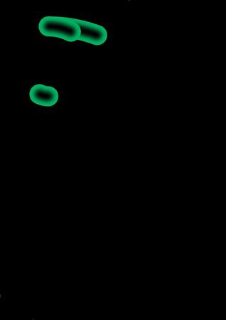 唯美的动态海报设计教程ae,动态海报全过程制作教程ae