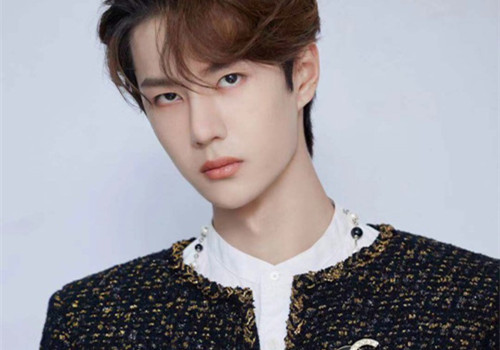 怎么追星最快最有效,什么样的人适合追星