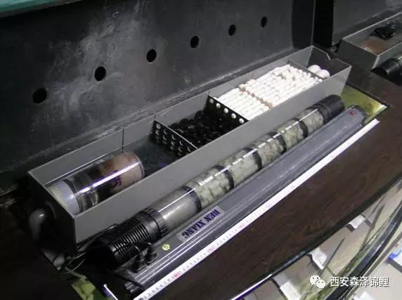 最强锦鲤鱼池过滤系统,锦鲤池最好的过滤设备