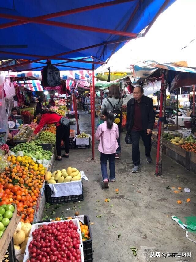 海南冬天最适合生活的地方,海南的冬天海滩