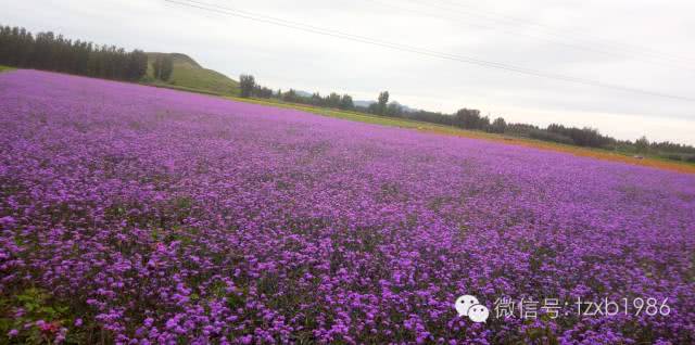 易水湖景点怎么样值得去吗,易水湖景区怎么样啊值得去吗
