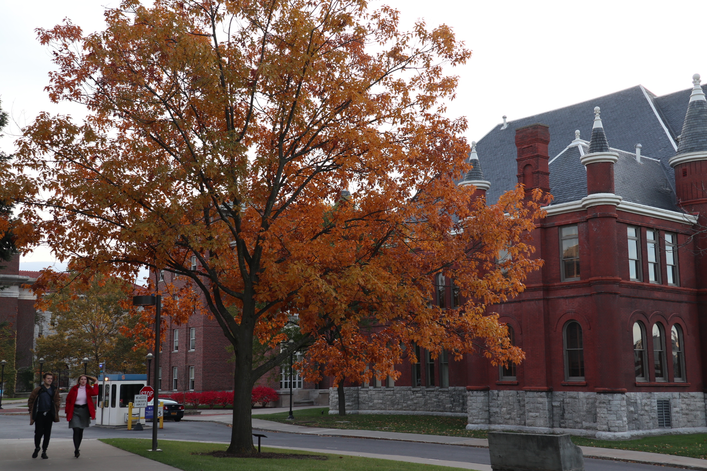 美国加州圣塔克拉拉大学,圣塔克拉拉大学最新排名