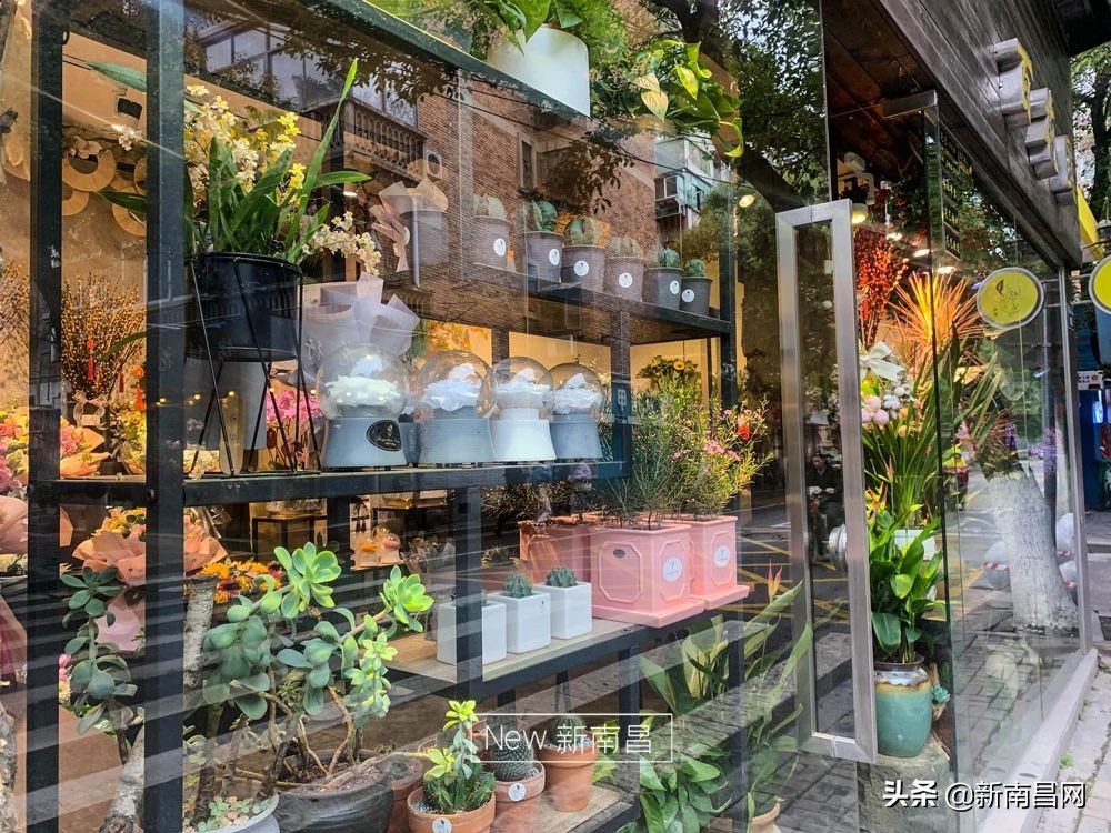 南昌花市有哪些地方,南昌花市批发市场