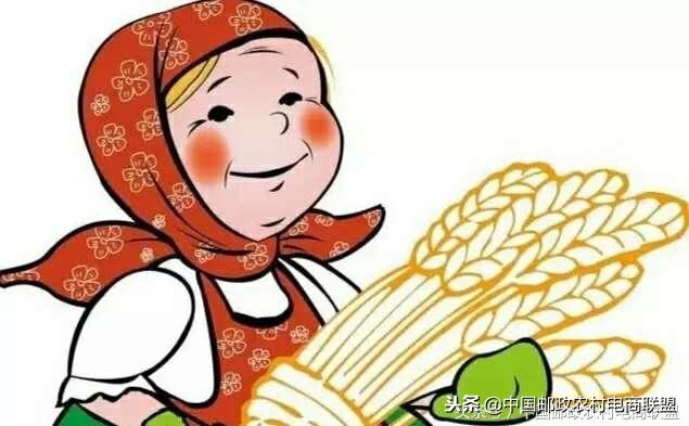 电商进农村项目效益,农村电商进城政策解读