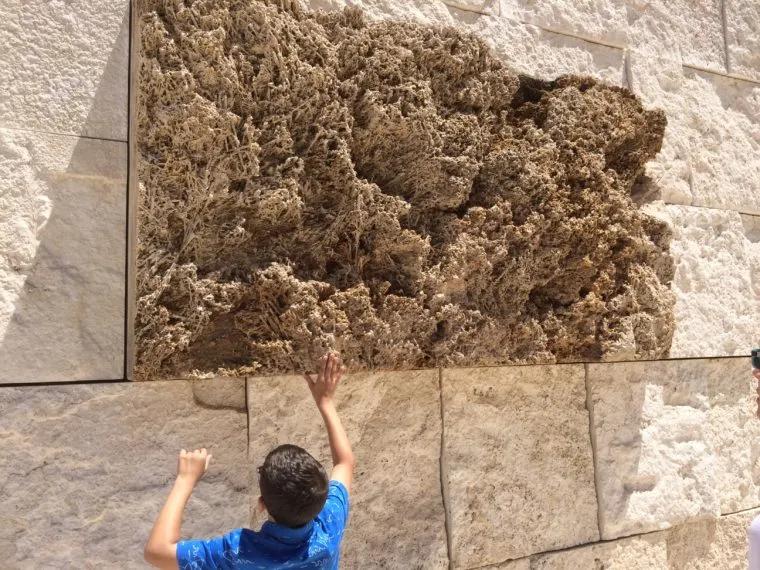 执着于白色的“建筑狂人”