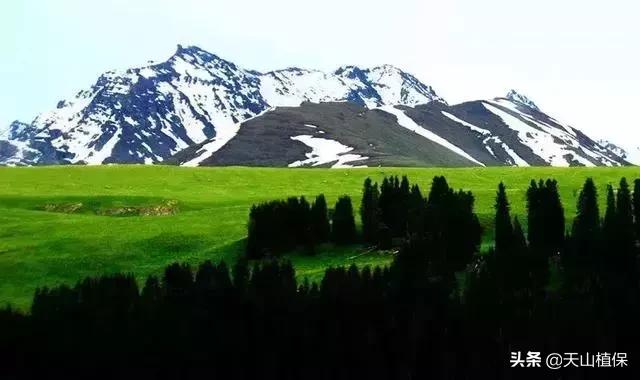 大美新疆百里画廊,北疆千里画廊打卡点