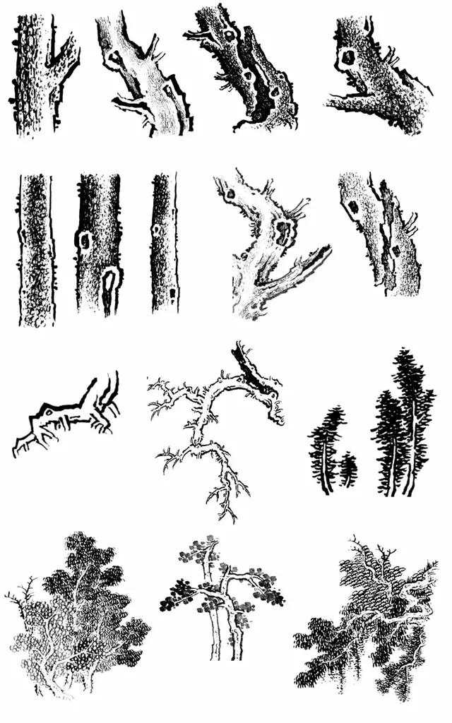 还在为不会画手抄报而烦恼吗,从零开始学画国画教程