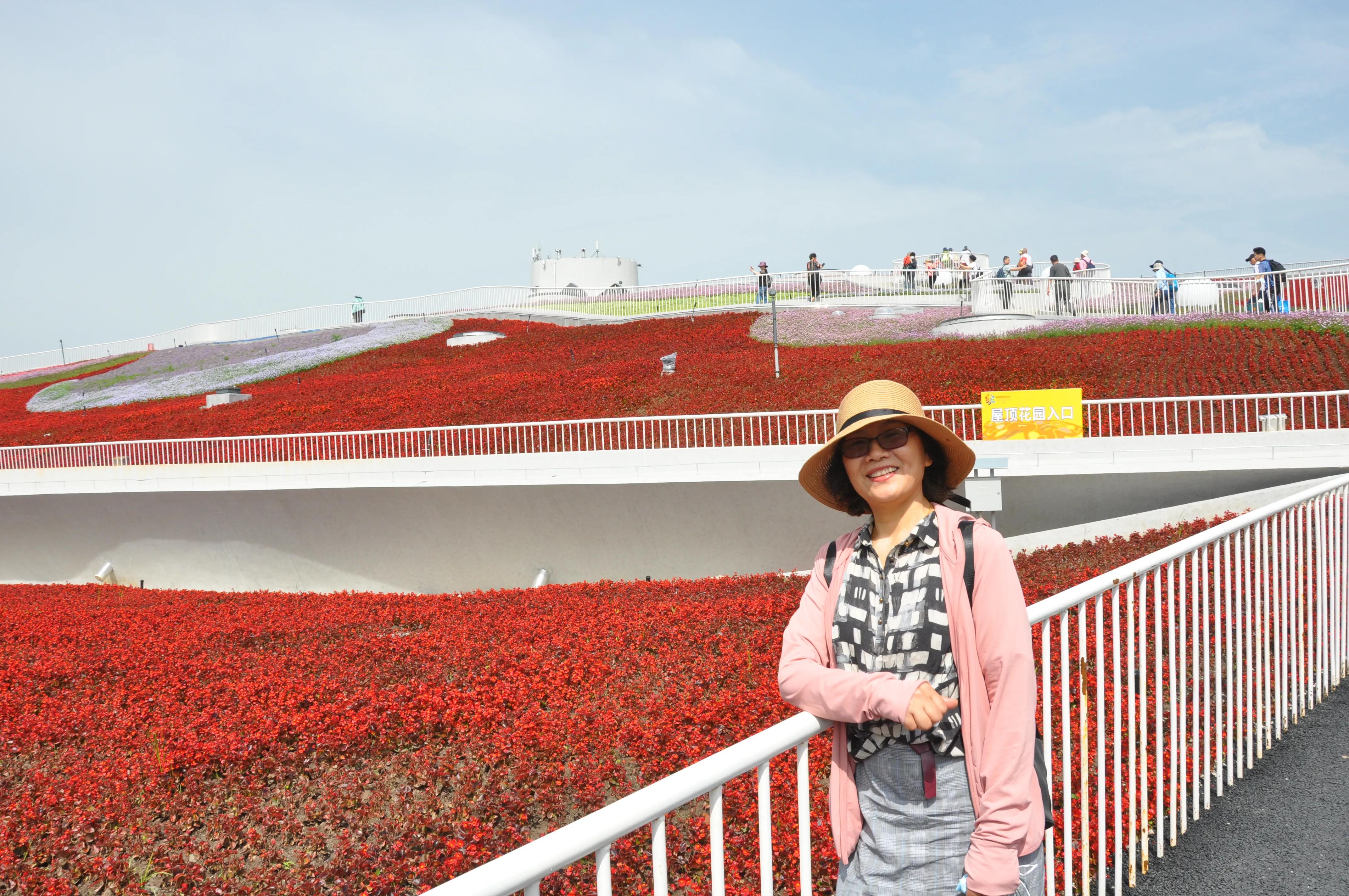 漳州东南花都花博会巡游,花博会花神巡游打卡