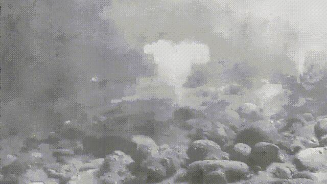 蚶蛤蛏蚬区别,蛤蜊蚶子蛏子区别