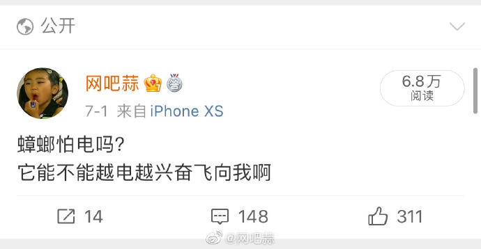 被意大利人骂了这么多年，原来是冤枉的丨互联网冲浪手册