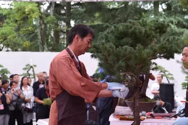 精品菊展、古风集市、植物科普…国庆七天假期，玩转昆明各大公园景区