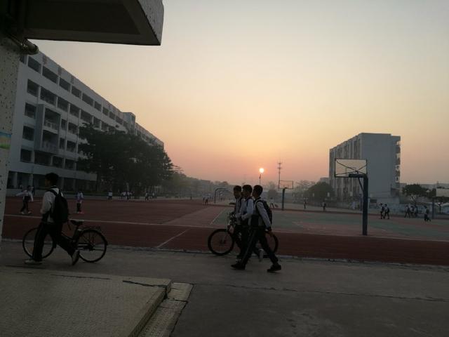 读书时期最幸福,读书是吃苦中最不苦的事是真的吗