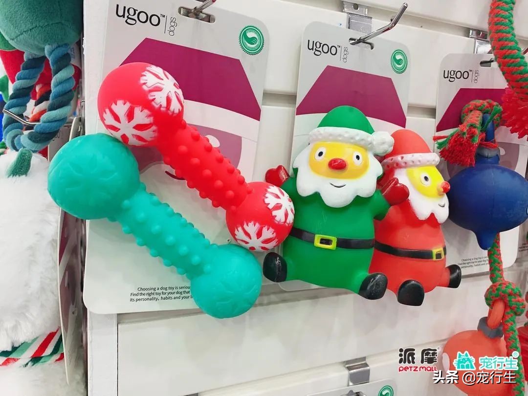 2020CIPS宠物展于广州开展，一大波萌物正在靠近