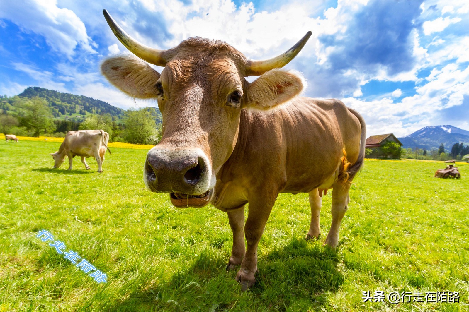 没有存在感的小国,生活成本最低的几个亚洲国家
