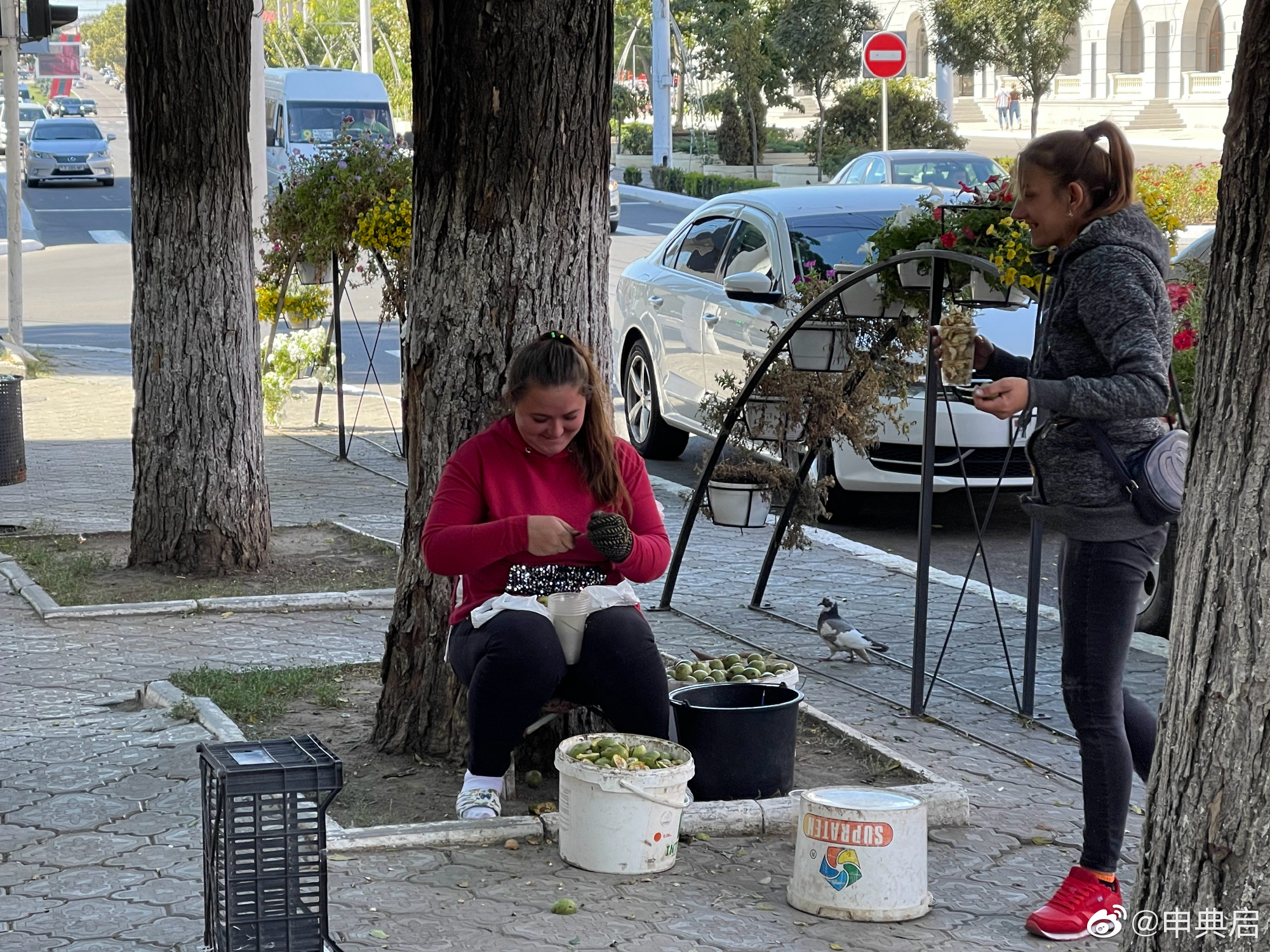 德左共和国是一个怎样的国家,德左共和国地理位置