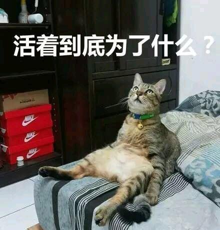 男子出差托朋友照顾他女朋友,男子出差把女友照顾