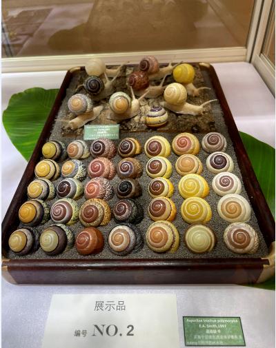 2021年上海国际贝展视频,2022年上海国际贝展