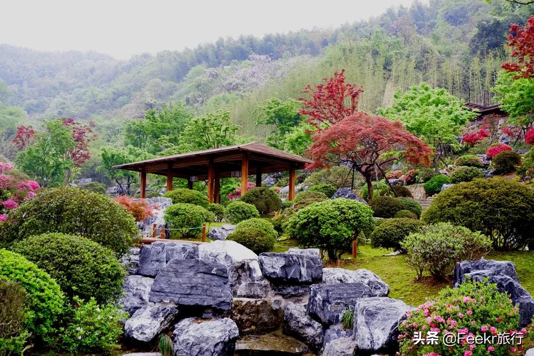 五一莫奈庄园一日游,五一不出游在家门口看风景