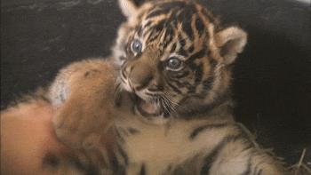 京津冀周边玩三天左右,京津冀十月旅游免费景区