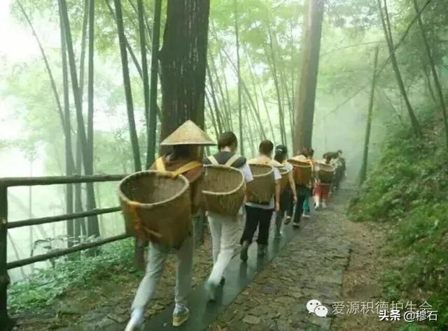 鏄槑绂呭浣忔寔,鏄槑绂呭淇