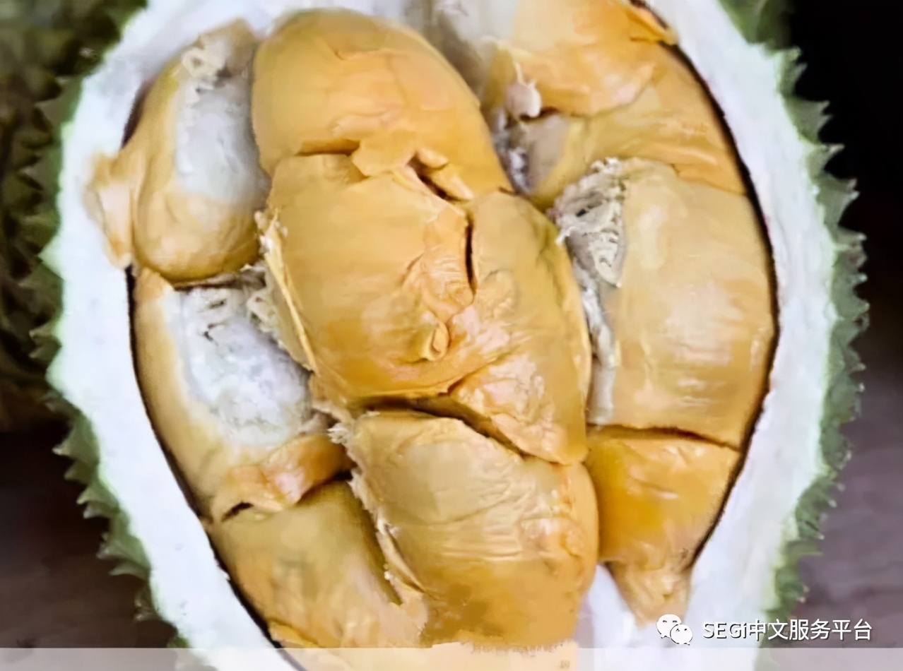 马来西亚的榴莲有啥品种,马来西亚榴莲有几种